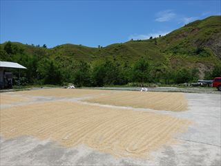 �o�M�I�ւ̓r����