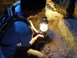 �Ζ������v�ɉ΂�t����