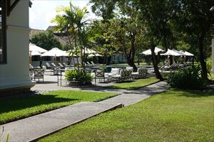 �A�}���^�J�̃v�[��������