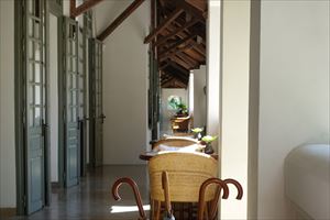 �A�}���^�J�̐H������