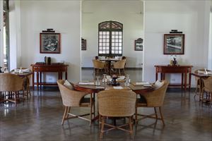 �A�}���^�J�̐H��