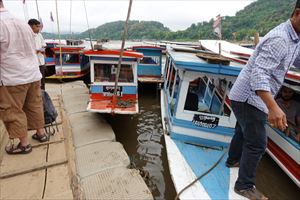 �A�}���^�J�̐H��