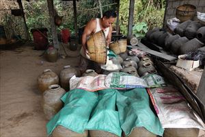 �A�}���^�J�̐H��