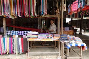 �A�}���^�J�̐H��