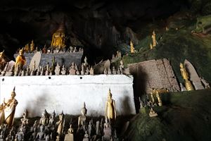 �A�}���^�J�̐H��