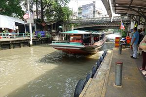 �D�͊ό��q�̑�