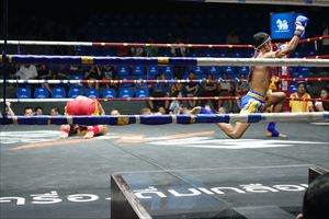 �G���^�C�̎���